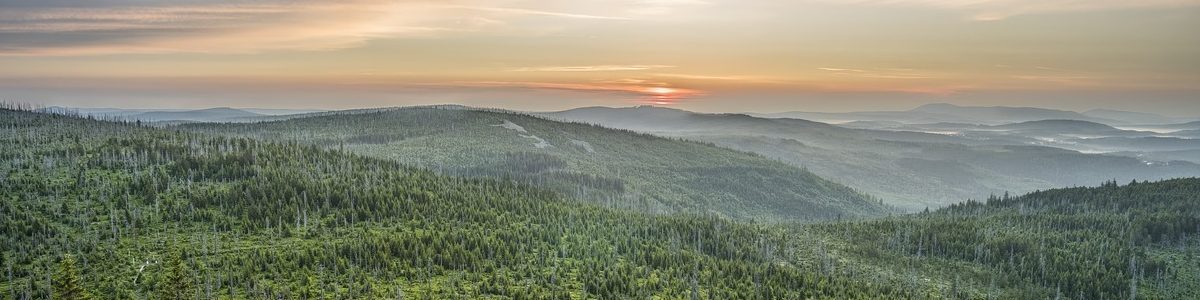 lusen, sunrise, landscape-3447457.jpg
